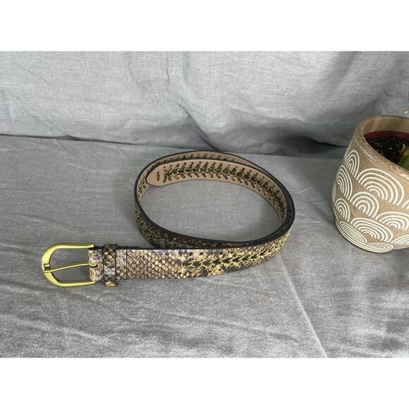 Fierce little belt - Picture 1 of 8